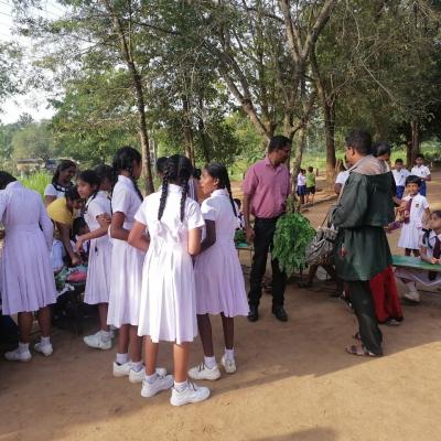 සිඟිති පොළ